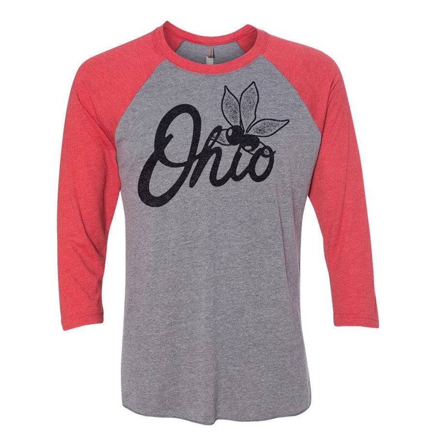 Men's Alternative Apparel Tan Ohio State Buckeyes The Champ Tri-Blend  Raglan Pullover Sweatshirt